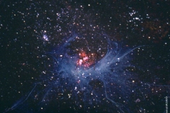 aranea nebulae