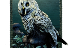 Strix